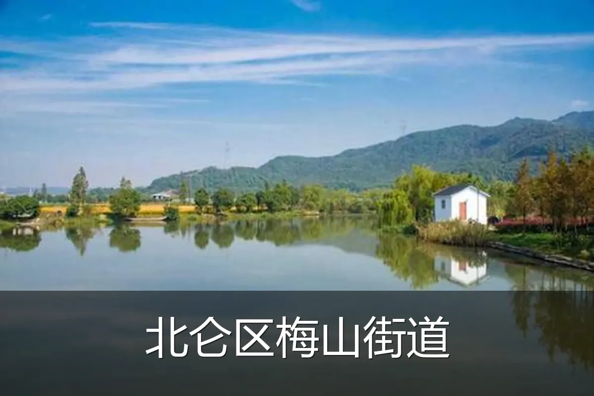 北仑区梅山街道