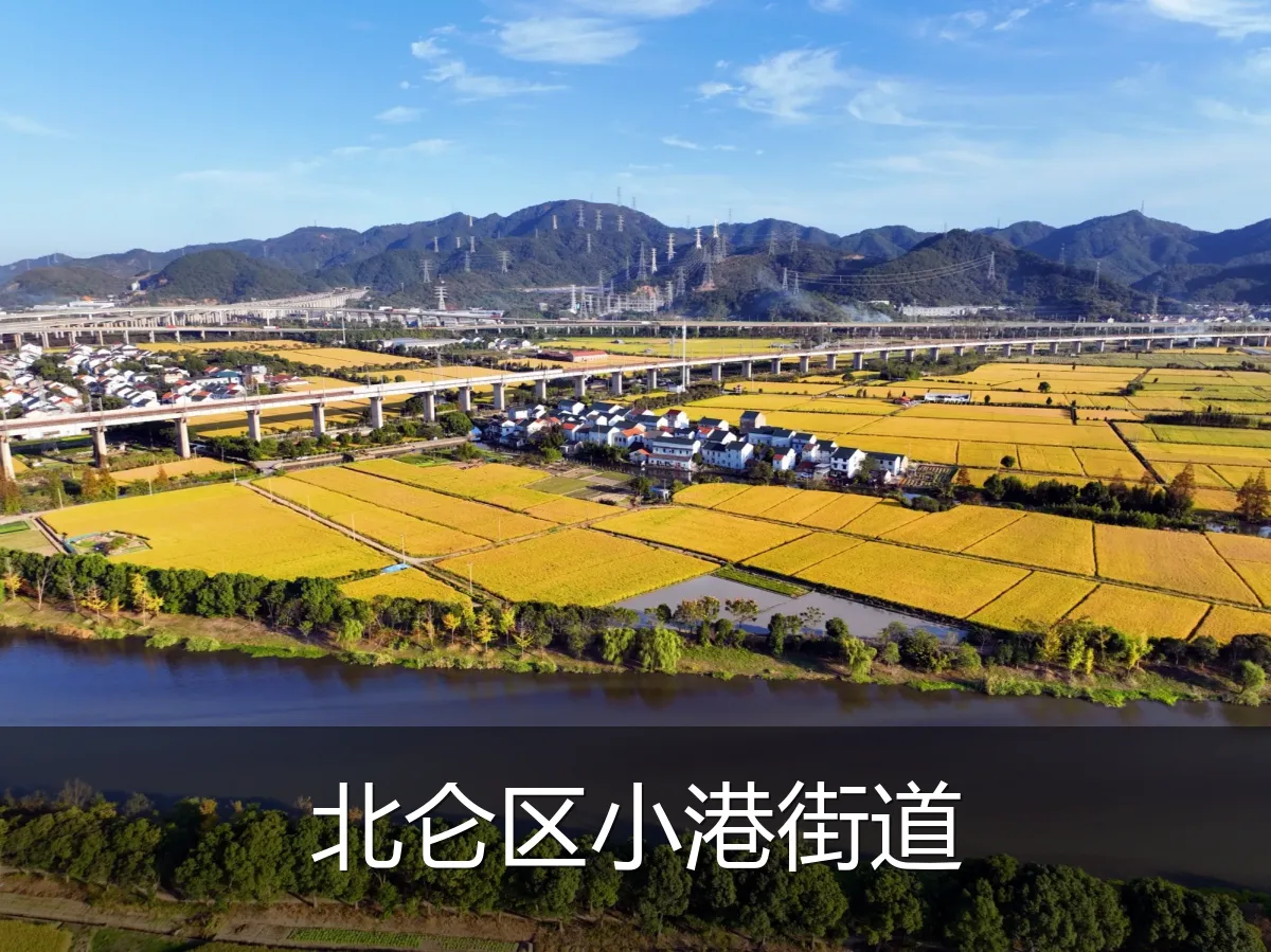 北仑区小港街道