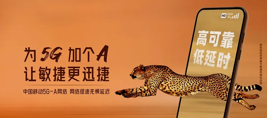 北仑区北仑区霞浦街道 移动宽带